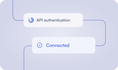 API-level authentication and usage restrictions